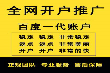竞价推广公司案例：实战技巧与策略