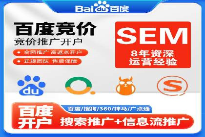 某知名品牌SEM运营策略及效果评估